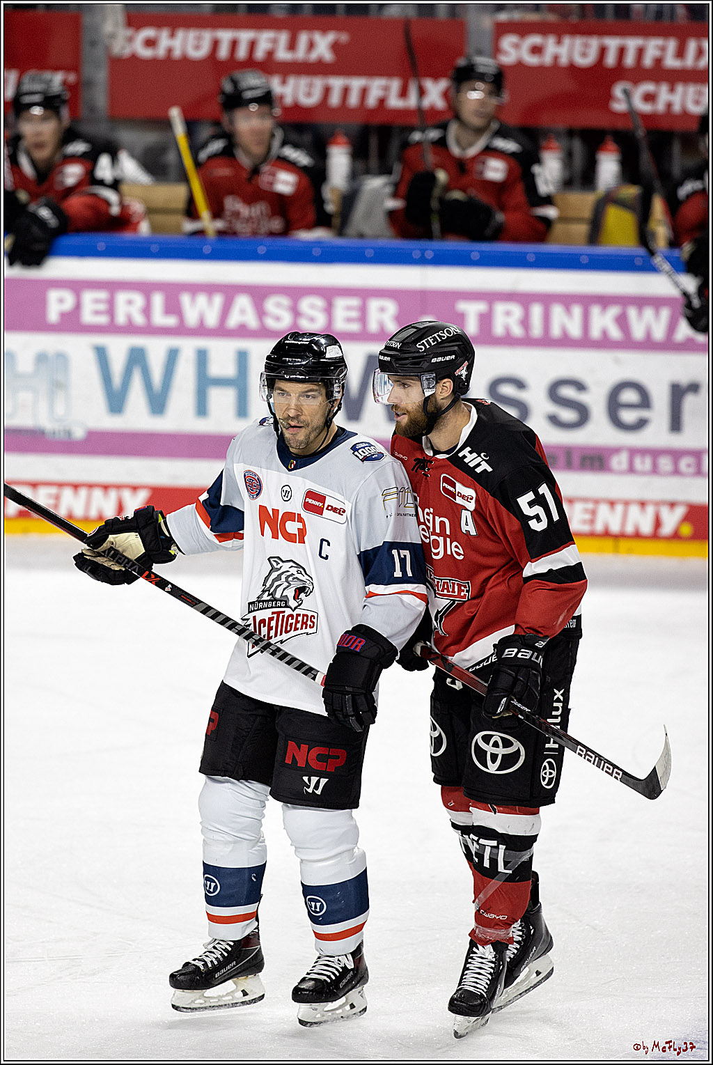 PENNY DEL;  Koelner Haie - Nuernberg Ice Tigers; Koeln, 03.12.2021